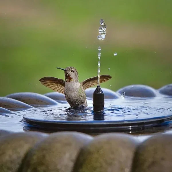 SunSplash Solar Fountain